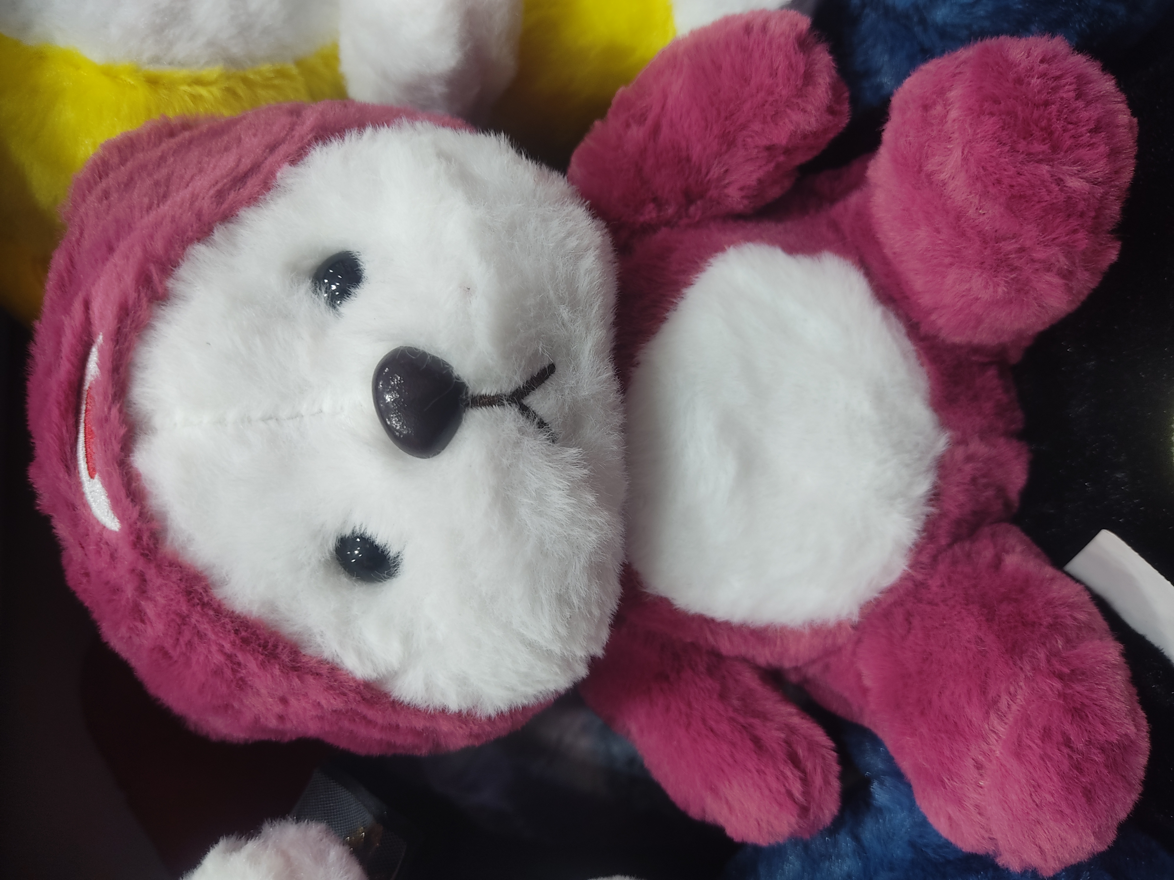 career category avatar